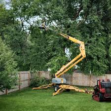 Best Commercial Tree Services  in Cayce, SC