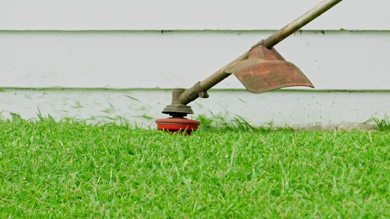 Lawn Irrigation Installation and Maintenance in Cayce, SC